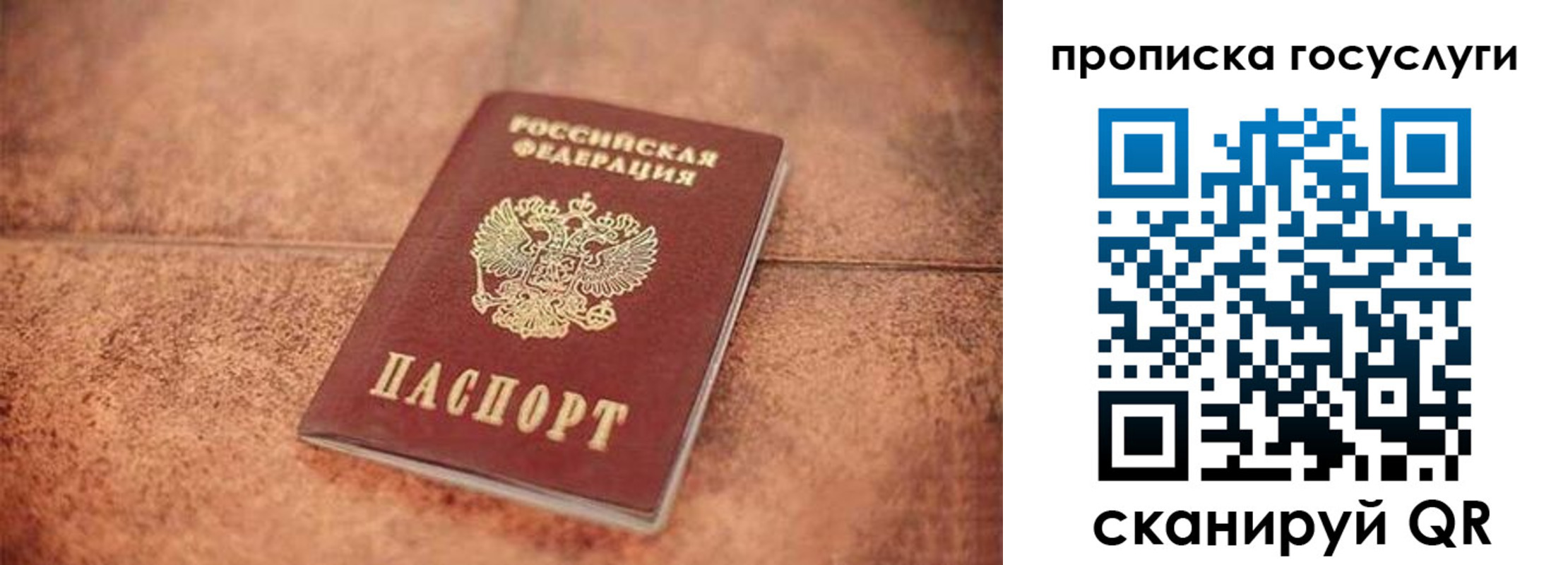прописка законно в Судогде
